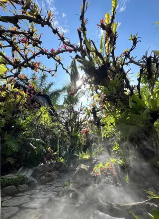 Kubu Bali Experience Ubud thumbnail 4