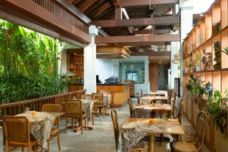 Ely’s Kitchen Ubud thumbnail 3