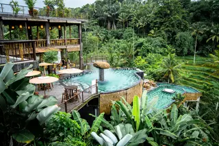 D'Tukad Coffee Club Bali Tegallalang thumbnail 2