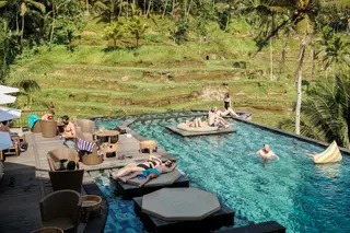 D'Tukad Coffee Club Bali Tegallalang thumbnail 1