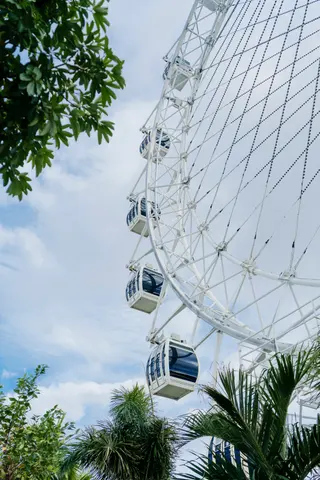 The Wheel in Canggu media 2
