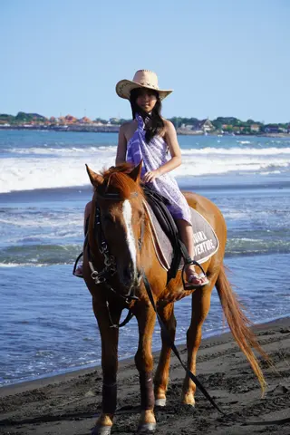 Muara Beach Horse in Denpasar media 5