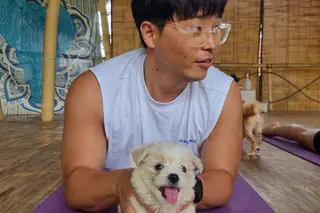 Puppy Yoga in Canggu media 5