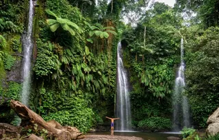 Les Rizieres Tetebatu Nature Adventure In Tetebatu media 2