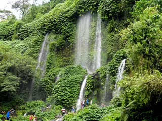 Les Rizieres Tetebatu Nature Adventure In Tetebatu media 3