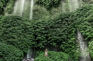 Les Rizieres Tetebatu Nature Adventure In Tetebatu media 4