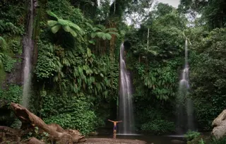 Les Rizieres Tetebatu Nature Adventure In Tetebatu media 5