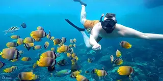 Nico Dives Cool in Sanur media 2