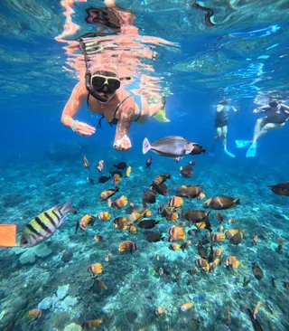 Nico Dives Cool in Sanur media 5