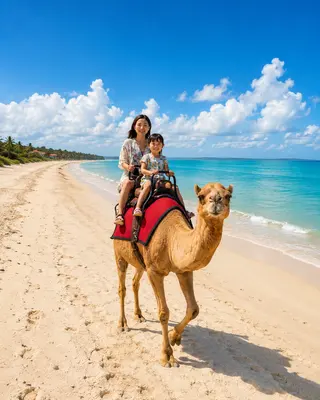 Bali Camel Adventure In Tuban media 3