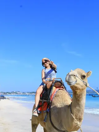 Bali Camel Adventure In Tuban media 4