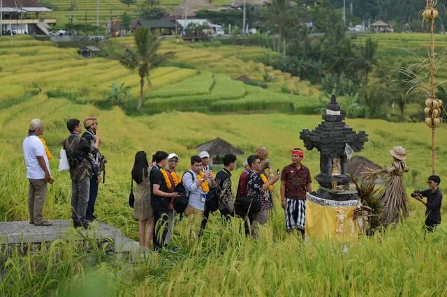 Jatiluwih Eco Farm in Tabanan