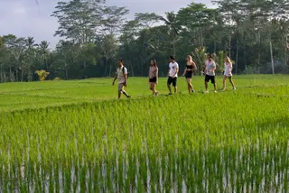 Mason Adventure in Taro media 2