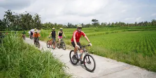 Jatiluwih Eco Bike in Tabanan media 3