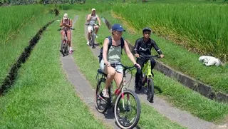 Jatiluwih Eco Bike in Tabanan media 5