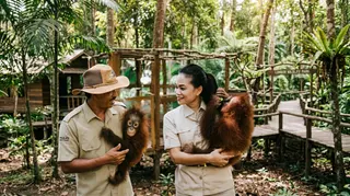 Lombok Wildlife Park In Lombok media 2
