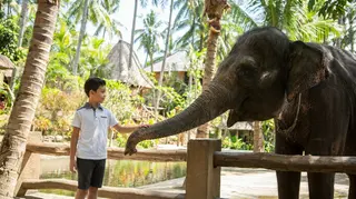 Lombok Wildlife Park In Lombok media 3