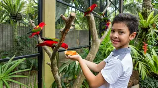 Lombok Wildlife Park In Lombok media 4