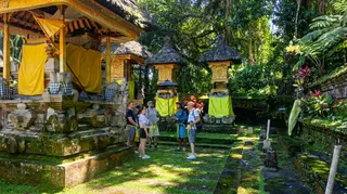 Red Paddle Bali Adventures In Ubud media 3