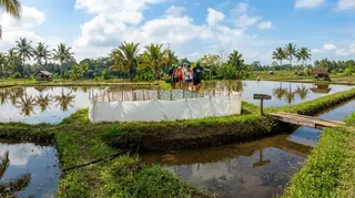 Red Paddle Bali Adventures In Ubud media 4