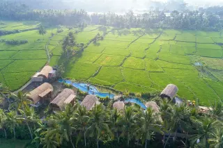 Beehouse Dijiwa in Ubud media 3