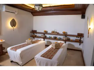 Tirta Mandala Spa in Ubud media 2
