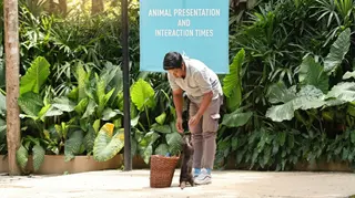 Bali Zoo Admission In Gianyar media 2