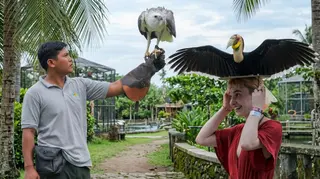 Bali Zoo Admission In Gianyar media 3