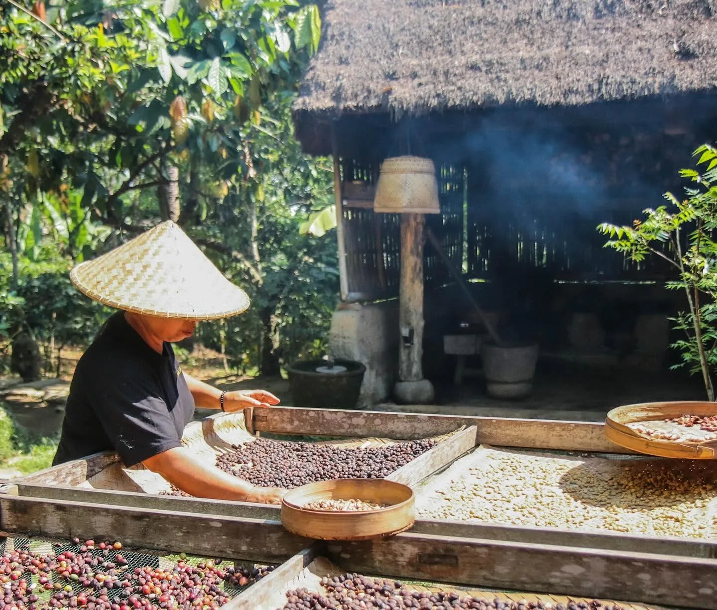 Bali Pulina Coffee Plantation in Ubud