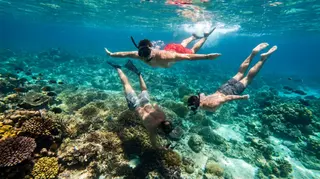 Lombok Travel Man Snorkeling In Gili Air media 4