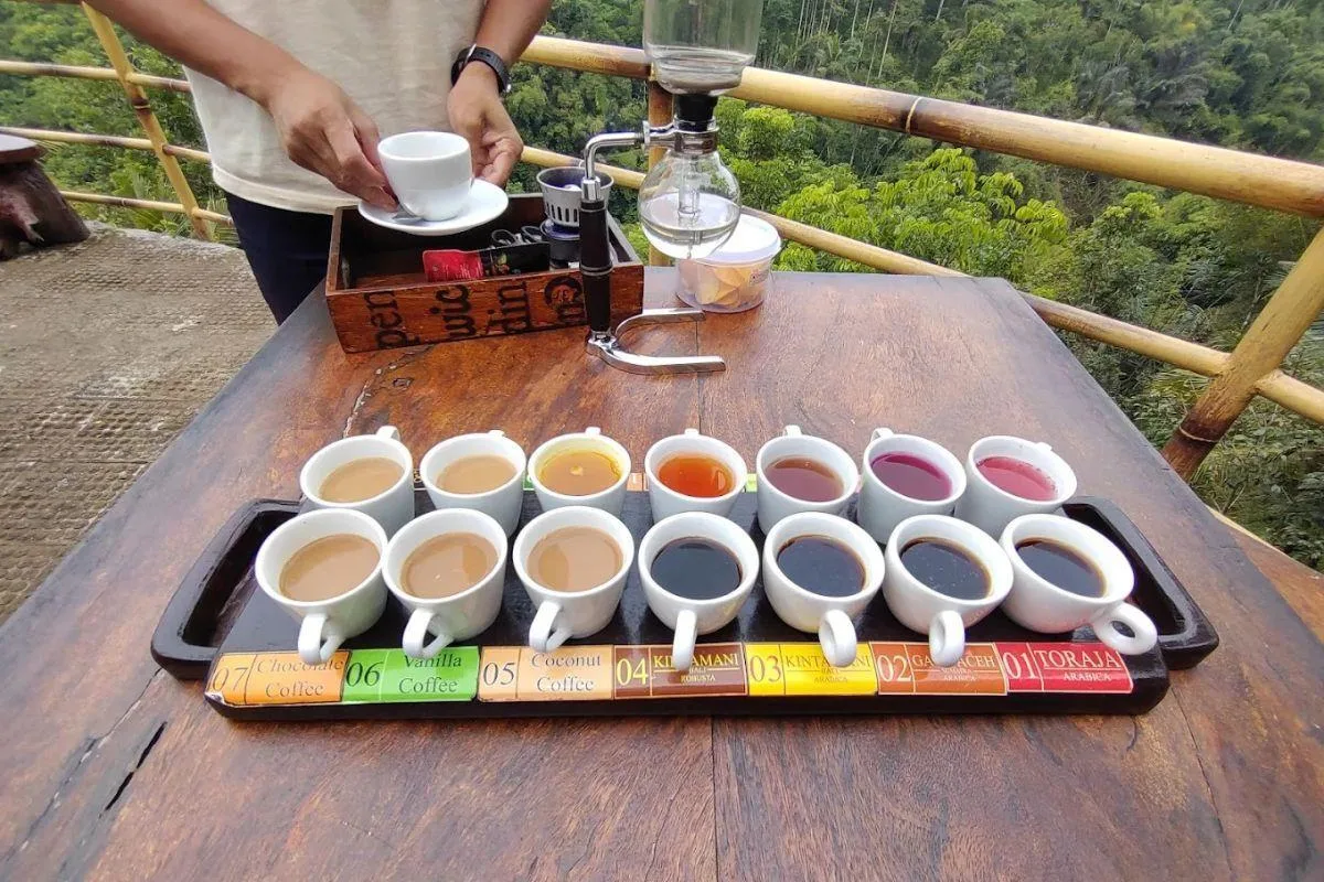 Segara Windhu 咖啡種植園