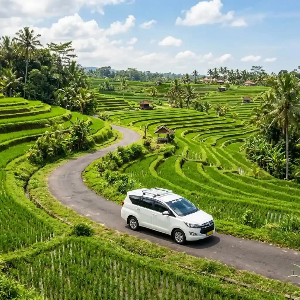 Return Transfer & Hotel Drop-off