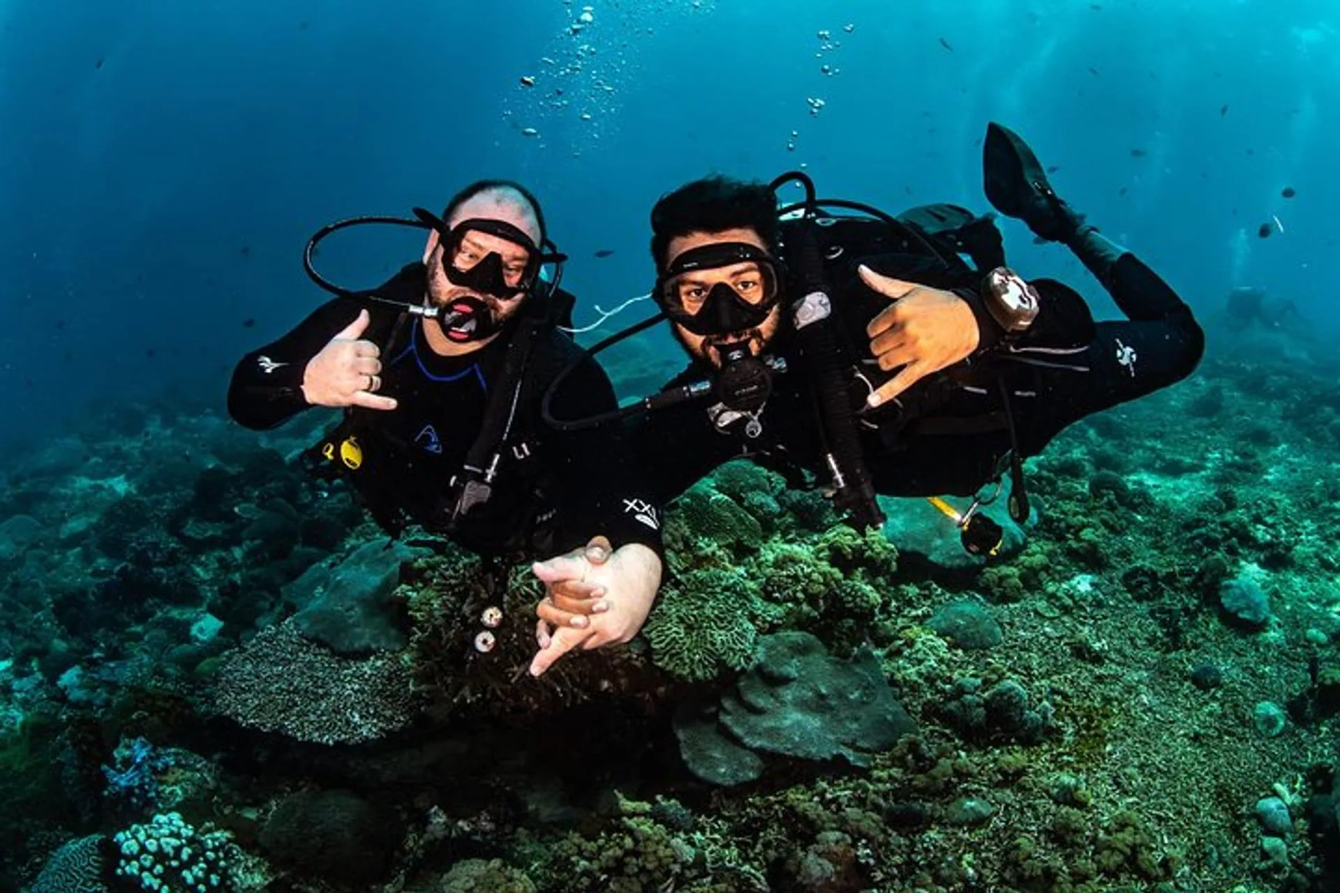 Discover Scuba Diving for Beginners