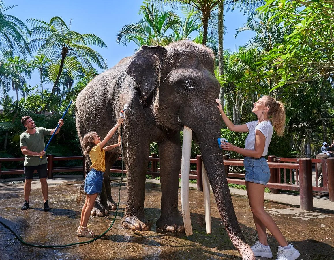 Mason Elephant Safari Experience