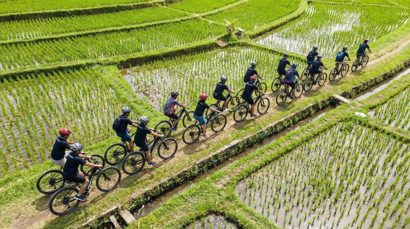 3 Hours Jatiluwih E-Bike Adventure