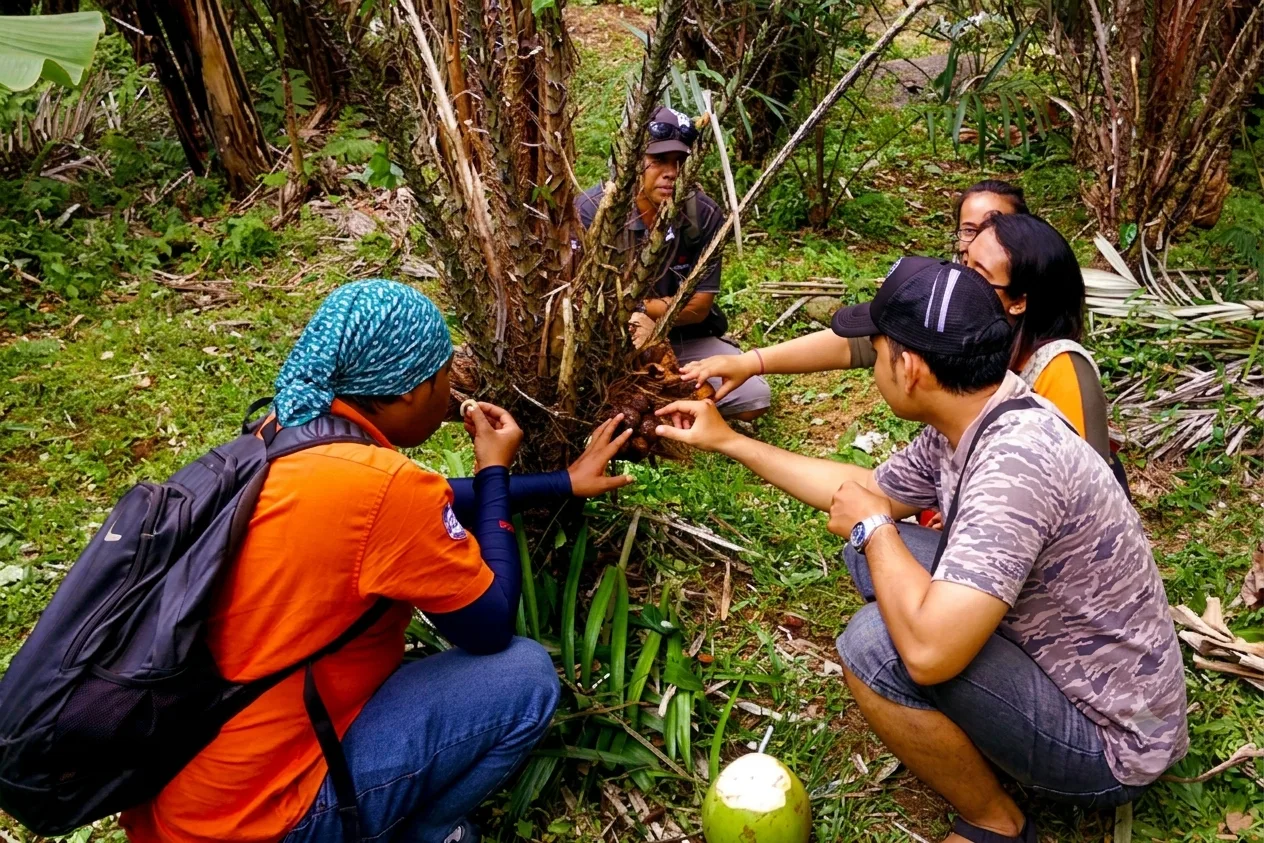 Tur Jalan Kaki Perkebunan dan Panen Buah Salak di Desa Sibetan Selama 1 Jam