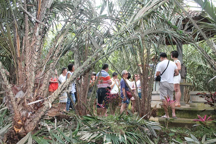 Kombinasi Bersepeda Gunung Pedesaan Agro Salak 8 Jam dan Trekking Ekoplantasi