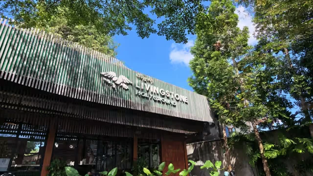 Livingstone Holyground Ubud