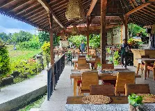 Alam Padi Ubud thumbnail 2