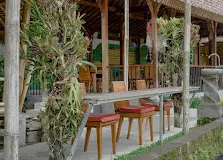 Alam Padi Ubud thumbnail 3