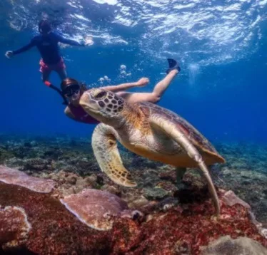 Euro Dive Center Bali photo 2