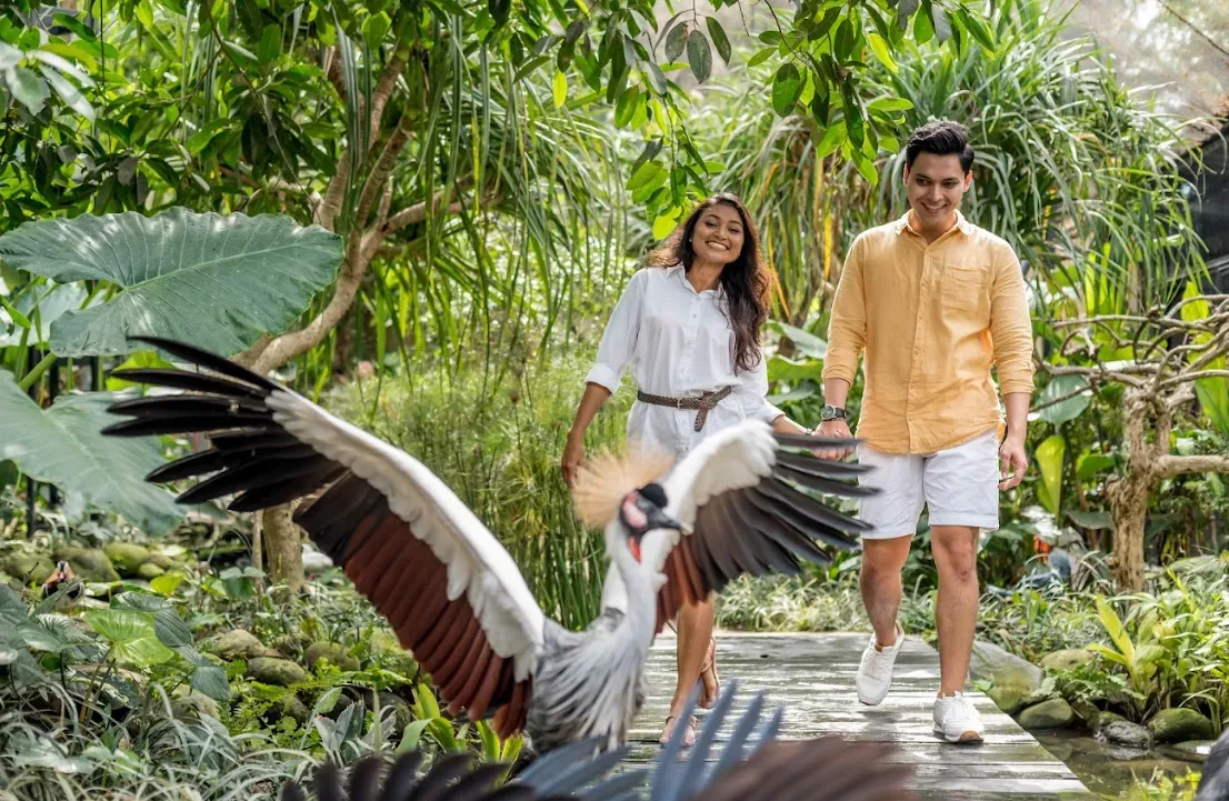 Bali Bird Park Ultimate Encounter