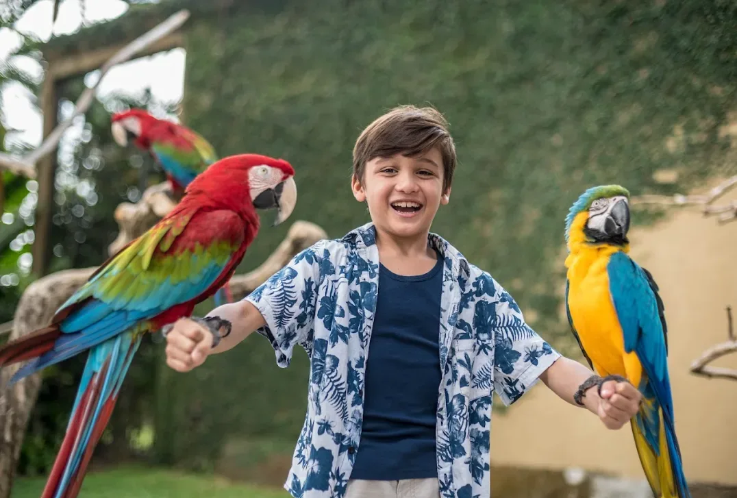 Bali Bird Park Adventure with Authentic Crispy Duck Lunch