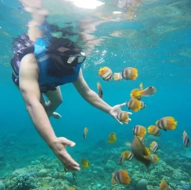 Combo Triple Paradise Spots Snorkeling In Amed