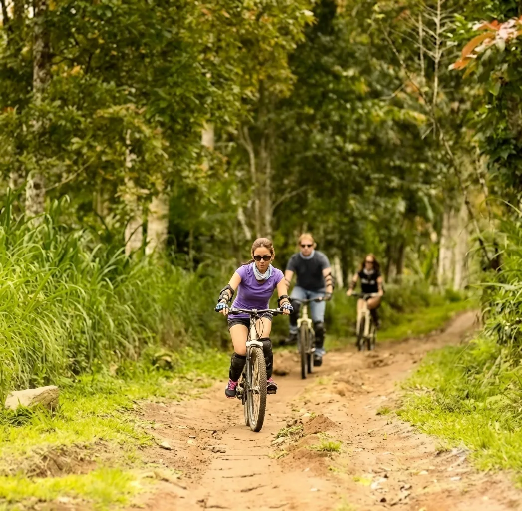 Downhill Bike, Hike & 4WD Safari In North Bali photo 2