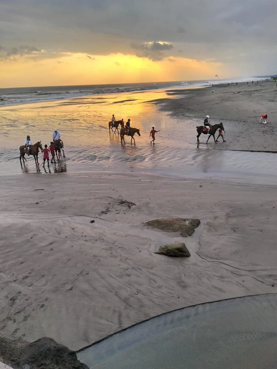 Sunset Beach and Rice Fields Horse Riding Horse Riding Kuda P Stable photo 2