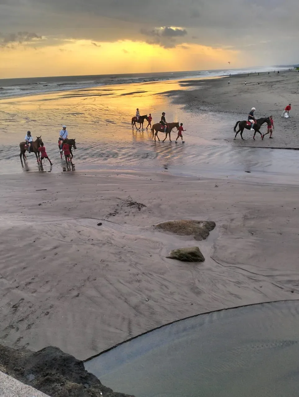 Sunset Beach and Rice Fields Horse Riding Horse Riding Kuda P Stable photo 3
