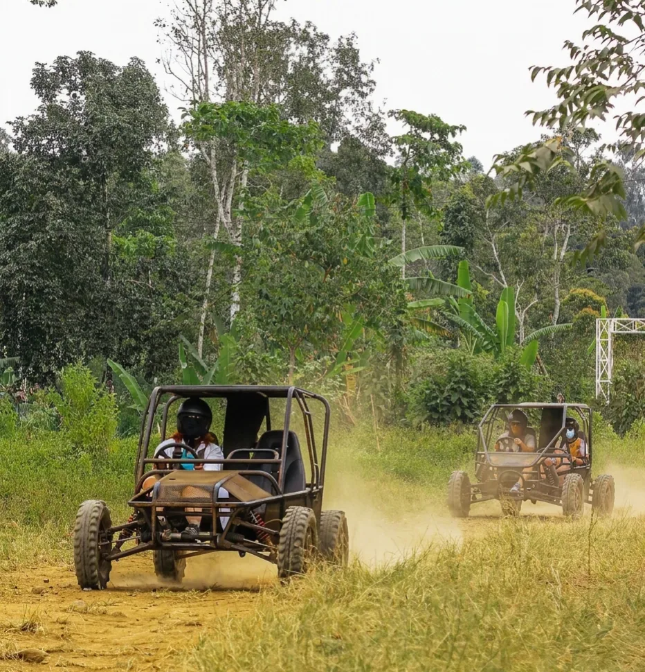 Single Drive Nature Discovery: Finn Komodo & Lake Canoe In North Bali photo 2
