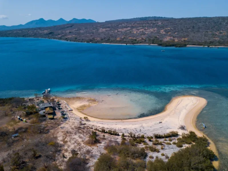 Short Jungle Trekking Wildlife and Mangrove Tour Menjangan Island Trip
