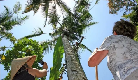 A Deep Cultural And Paddy Farming Immersion In South Bali photo 2